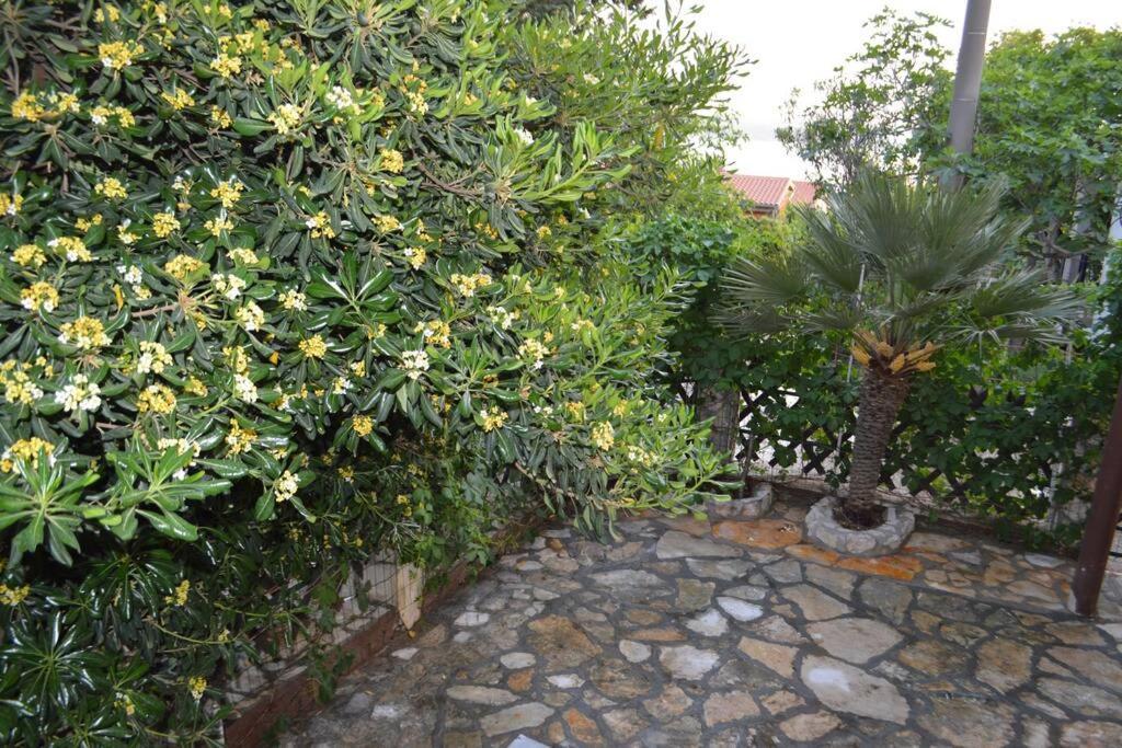 Apartment In Maslenica Jasenice  Ngoại thất bức ảnh